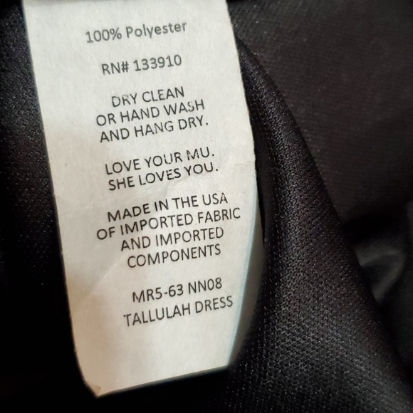 Show Me your Mumu Tallulah Dress - Picture 11 of 14